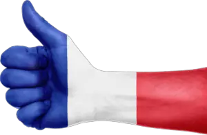 france, flag, hand-664858.jpg