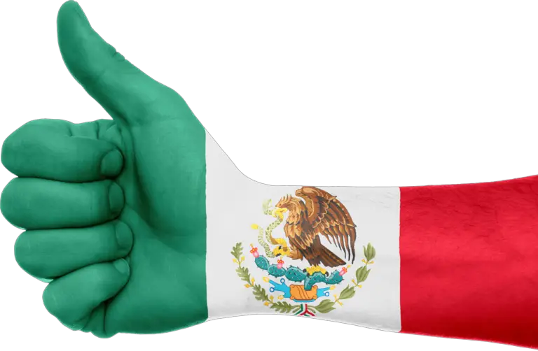 Mexico’s Lengua de Señas Mexicana (LSM): Mexican Sign Language