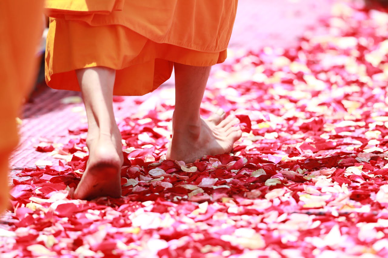 monk, walking, rose petals-458491.jpg