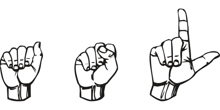The World of American Sign Language (ASL)